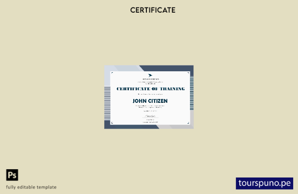Plantilla de certificado de capacitación de empresa de EE. UU. lista para imprim